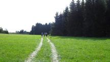  Blick auf die schon bekannte Wanderstrecke 