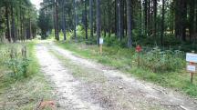 Blick auf die schon bekannte Wanderstrecke bei der Streckenteilung diesmal Richtung Ziel