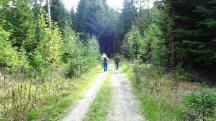  Blick auf die Wanderstrecke 