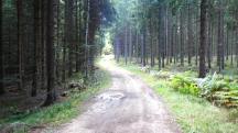 Blick auf die Wanderstrecke 