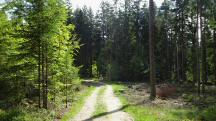  Blick auf die Wanderstrecke 