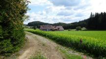  Blick auf die Wanderstrecke 