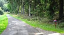 Blick auf die Wanderstrecke im Hellgraben 