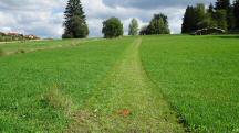  Blick auf die Wanderstrecke 
