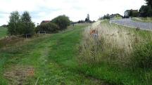 Blick auf die Wanderstrecke bei der Greiner Stra�e ( B119)