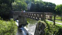  nochmals ein Blick zum Waldlesberger Steg 