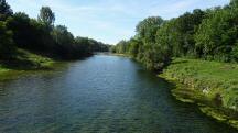 Blick vom Steg auf die Traisen flussaufw�rts