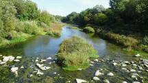  Blick vom Steg auf die Traisen flussabw�rts 