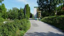  Blick auf die Wanderstrecke in der M�hlbachgasse 