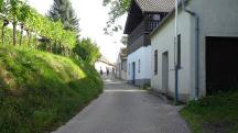  Blick auf die Wanderstrecke in der Weingasse 