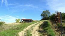  Blick auf die Wanderstrecke 