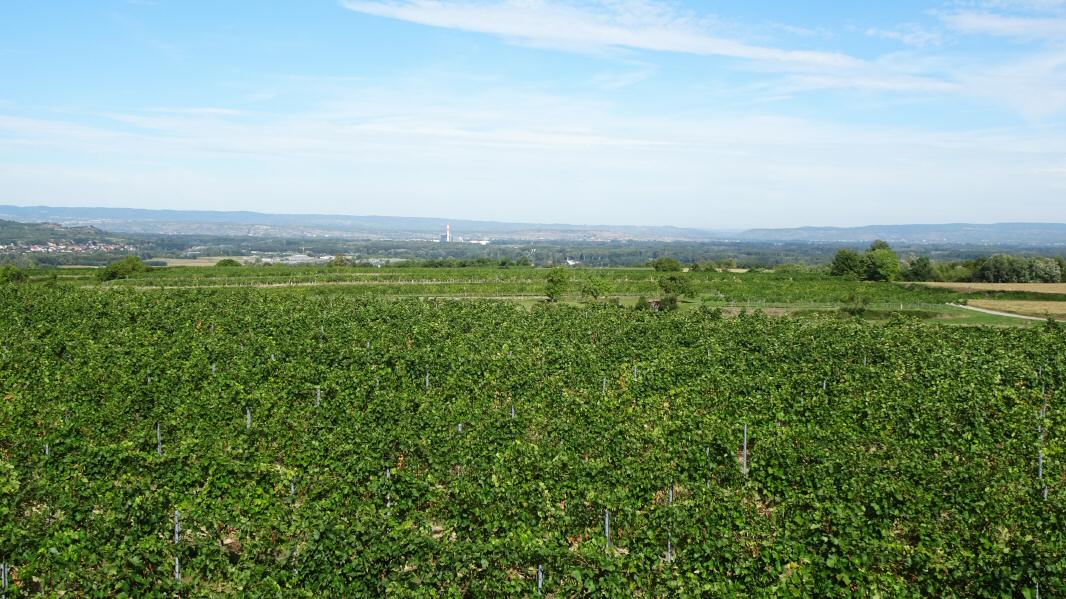 sehr sch�ner Fernblick ins Donautal zum W�rmekraftwerk Thei�