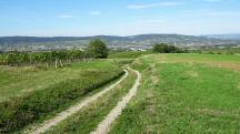 Blick auf die Wanderstrecke mit herrlicher Fernsicht