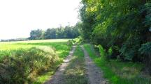  Blick auf die Wanderstrecke 