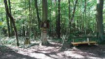  Blick zu dem Bildbaum "4 Eichen" 
