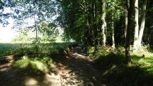  Blick auf die Wanderstrecke 