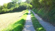  Blick auf die Wanderstrecke 